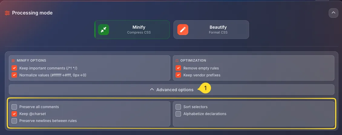 Expandable settings panel with advanced options