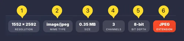 Statistics bar showing RESOLUTION, MIME TYPE, SIZE, CHANNELS, BIT DEPTH, and EXTENSION