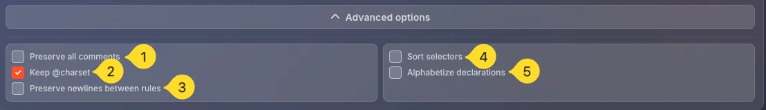 Minify Advanced options panel expanded
