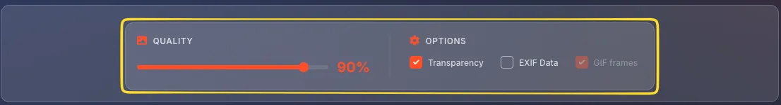 Settings panel showing format-specific options
