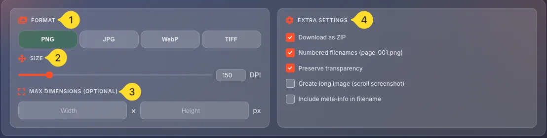 Settings panel with format, size, and extra options